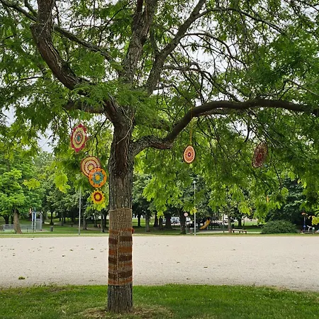 Flat 特鲁瓦