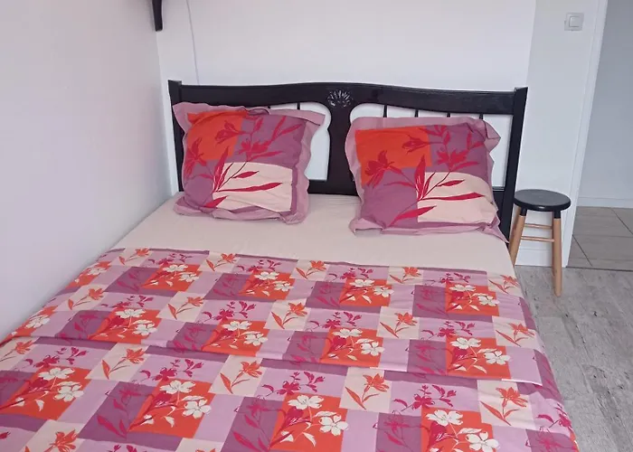 Appartement Flat Troyes